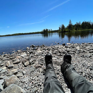 Meet your Posher, Abby